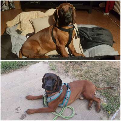 Vorher.... Nachher-Beitrag-Bild