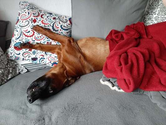 Die unbequemsten und lustigsten Schlafpositionen-Beitrag-Bild