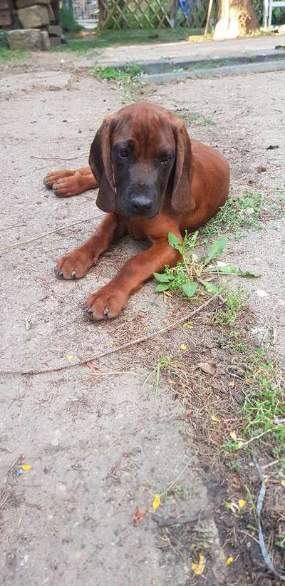 Sie werden so schnell erwachsen ...-Beitrag-Bild