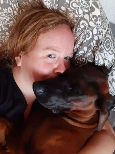 Schmusebilder-Beitrag-Bild