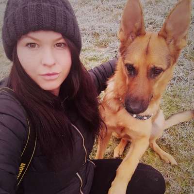 Hundetreffen-Spazieren gehn-Profilbild