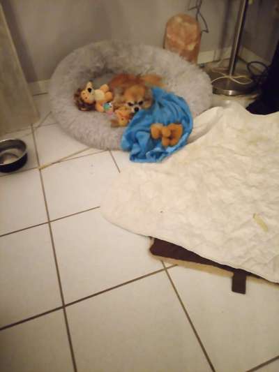 Fotochallenge 69-Beitrag-Bild