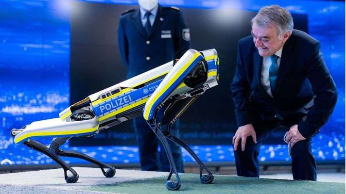 Mischlingshunde Foto Aufruf-Beitrag-Bild