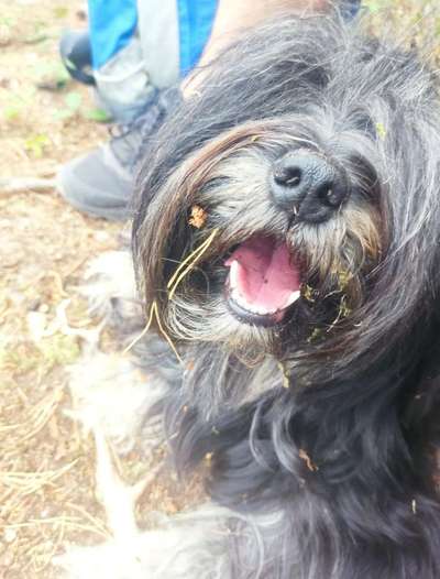 Zeigt eure Portraits-Beitrag-Bild