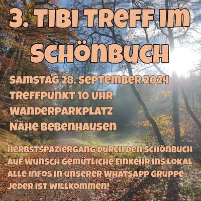 Hundetreffen-Tibet Terrier Treffen-Bild