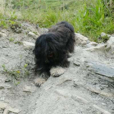 Fotochallenge Nr 107-Beitrag-Bild