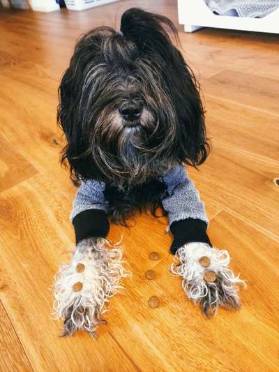 Fotochallenge Nr. 102: Futter balancieren-Beitrag-Bild