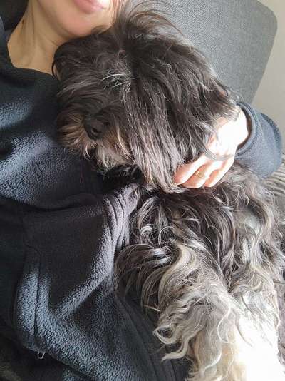 Fotochallenge 108: Starkes Team-Beitrag-Bild