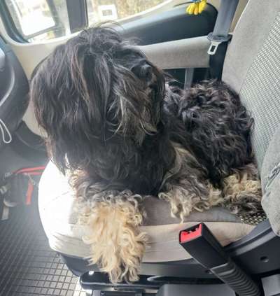 Fotochallenge 101:
On Tour-Beitrag-Bild