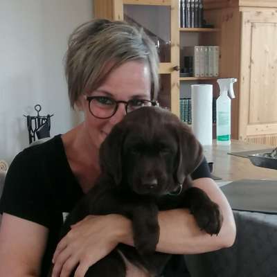 Hundetreffen-Welpen /Junghund aber auch ältere HundeTreffen