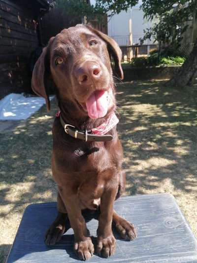 Handy-Foto Challange Nr. 10-Beitrag-Bild