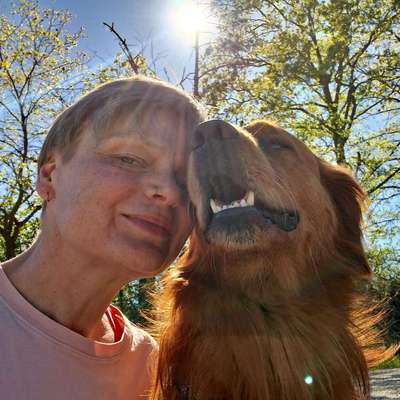 Hundetreffen-Zapfendorf, Landkreis Bamberg, Lichtenfels-Bild
