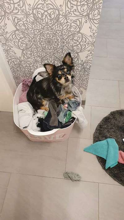 Handy-Foto Challange Nr. 10-Beitrag-Bild