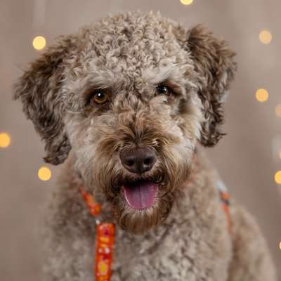 Karin &'s Profilbild