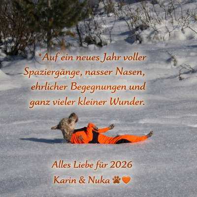 aktuelles Foto Gruppe Backen für Hunde