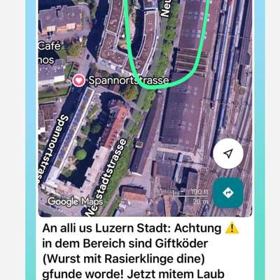 Giftköder-Giftköder unter dem Laub-Bild