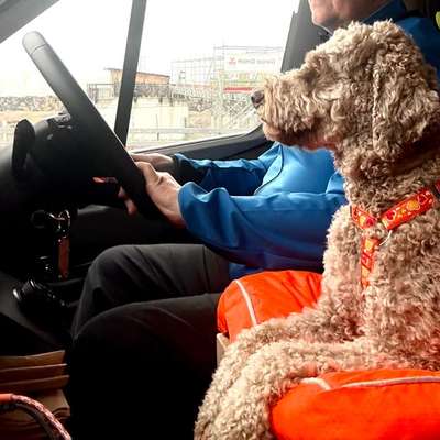 aktuelles Foto Gruppe Reisen mit Hund