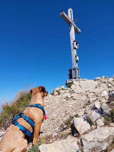 Dogorama Foto Challenge - Wanderziel-Beitrag-Bild