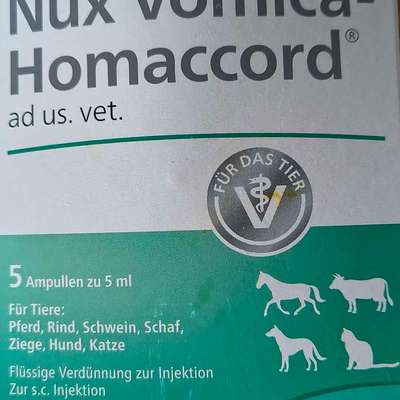 Bauchweh - Hund mag weder fressen noch trinken-Beitrag-Bild