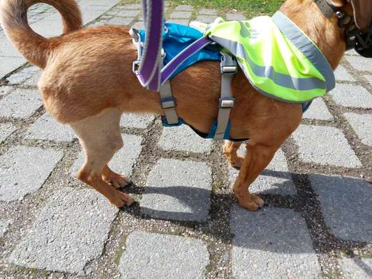 Gelbes Halstuch, gelbes Band oder gelbe Schleife-Beitrag-Bild