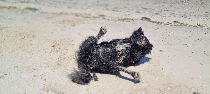 Lustige Grimassen & verrückte Posen-Beitrag-Bild