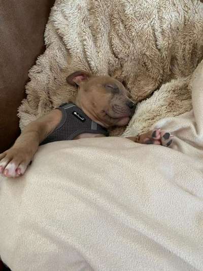 Schlafzeit!💖-Beitrag-Bild