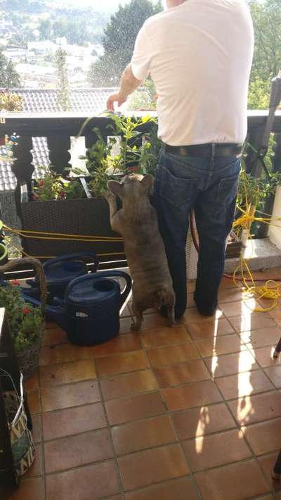 Lustige Bilder-Beitrag-Bild