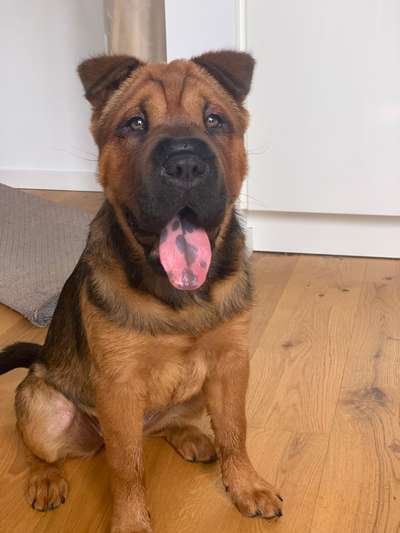 Blick fürs Detail!-Beitrag-Bild