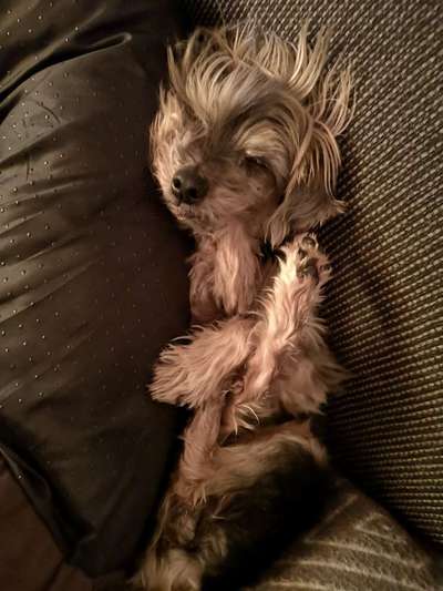 Die unbequemsten und lustigsten Schlafpositionen-Beitrag-Bild