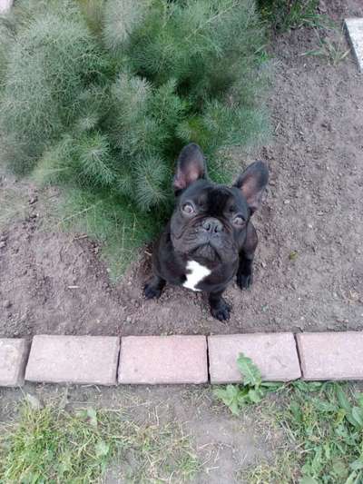 FOTOCHALLENGE 86-Beitrag-Bild