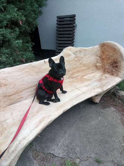 Theos Fotochallenge Nr. 3-Beitrag-Bild