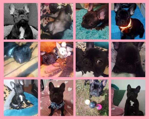 Sie werden so schnell groß!-Beitrag-Bild