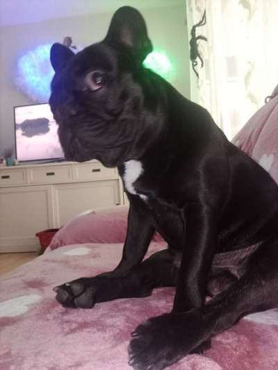 Fotochallange 84-Beitrag-Bild