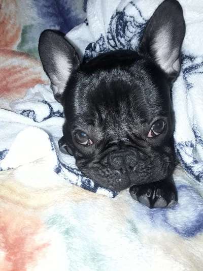 Lieblingsbild-Beitrag-Bild