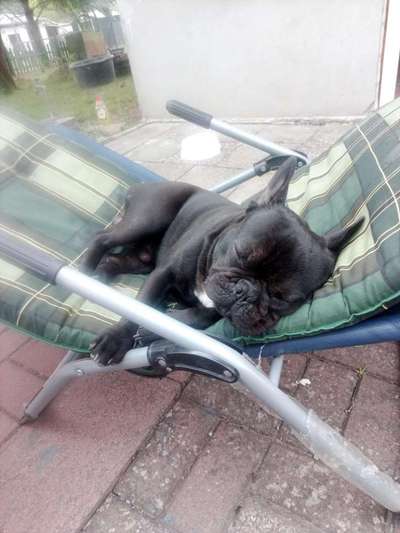 Foto-Challange No.1 - Alles aber nicht die Kamera-Beitrag-Bild