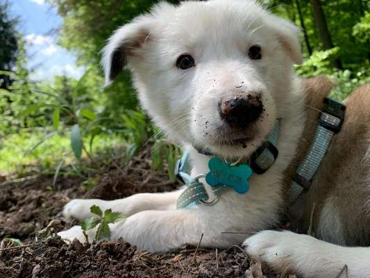 Sie werden so schnell erwachsen ...-Beitrag-Bild