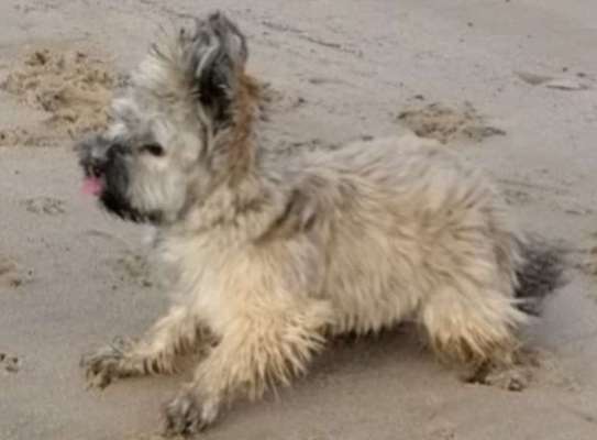 Hier ist der Spaßthread. Zum Schmunzeln und Kaputtlachen-Beitrag-Bild