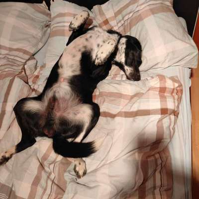 Gemeinsames Kuscheln im Bett!-Beitrag-Bild