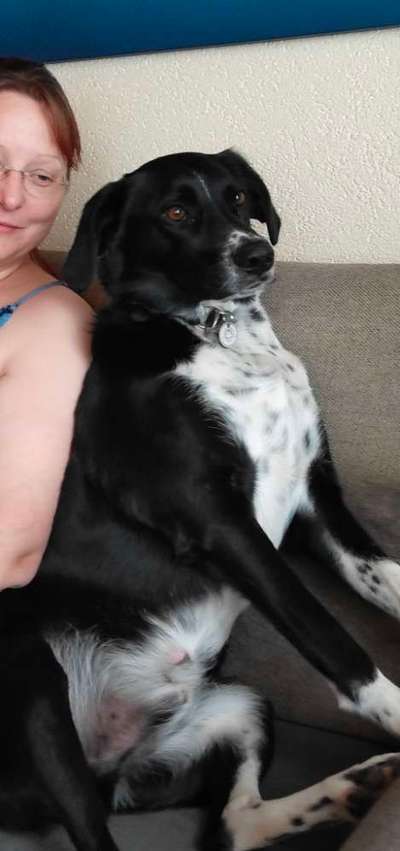 Nicht ganz alltägliche Hundenamen.
Wie kreativ wart ihr?-Beitrag-Bild