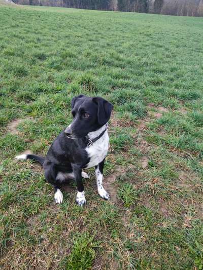 Pointer-Beitrag-Bild