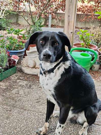 Doppelgänger gesucht !-Beitrag-Bild