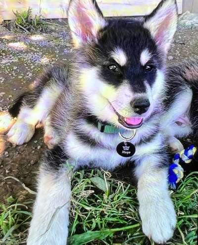 Erstes Bild-Beitrag-Bild