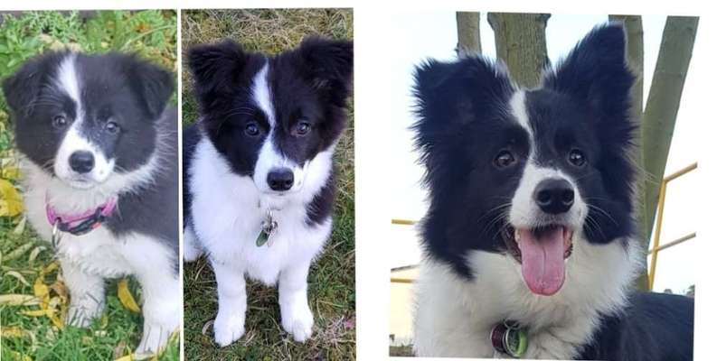 Vorher.... Nachher-Beitrag-Bild