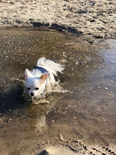 Fotochallenge 27-Beitrag-Bild