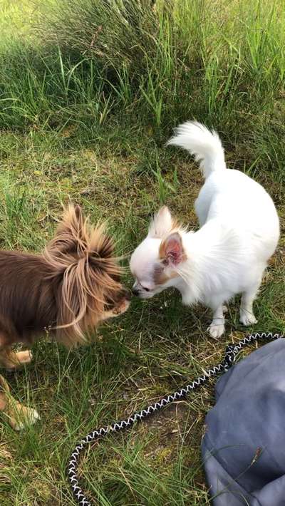 Fotochallenge liebespaare-Beitrag-Bild