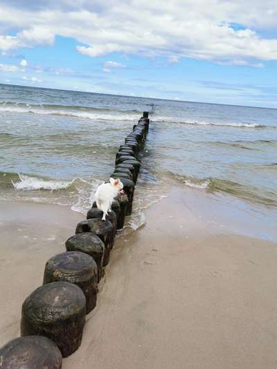 Fotochallenge Nr. 94 It's summer time-Beitrag-Bild