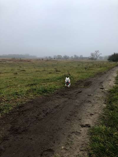 Zeigt mir eure Lieblingsfotos ♡♡-Beitrag-Bild