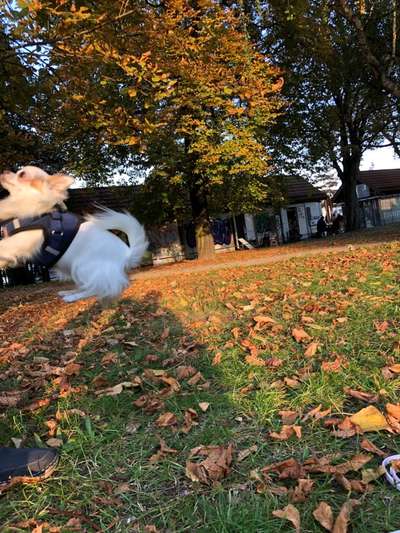 Fotochallenge Nr. 52 „Spring!“-Beitrag-Bild