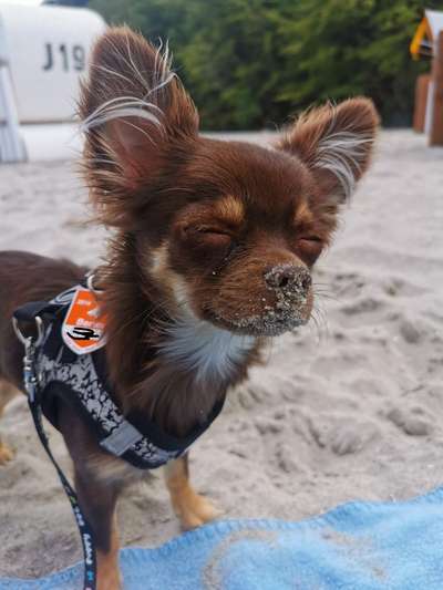 Fotochallenge Nr. 94 It's summer time-Beitrag-Bild