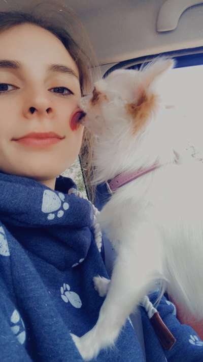 Küsschenbilder-Beitrag-Bild